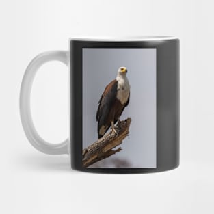 African Fish Eagle Mug